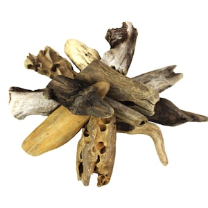 Natural Pacific Coast Driftwood Pieces, 4-6&quot; | Collected by Hand For Terrariums, Arts & Crafts, and Reptile Habitats, Large Wood Pieces