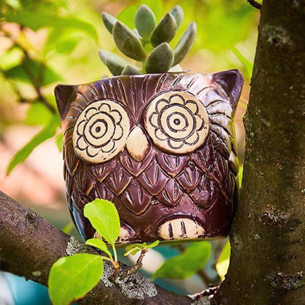 Brown Owl Ceramic Planter Pots for Succulents, Cacti, Flowers and Small Indoor Plants