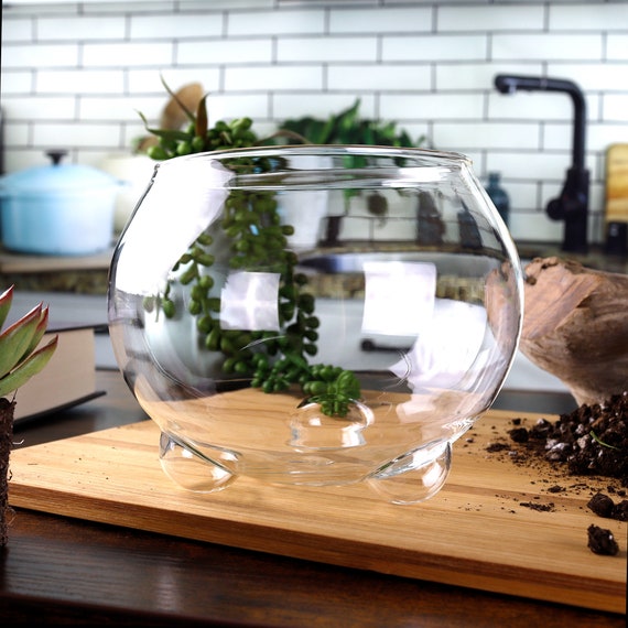 Round Glass Oasis Vase Terrarium Mini Green House - Etsy Sweden Round Glass Oasis Vase Terrarium Mini Green House - Etsy Sweden