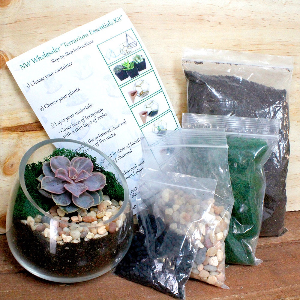 Succulent Terrarium Planter Kit, DIY Set with Soil, Pumice, Horticultural  Charcoal, Sphagnum Moss, Red Lava Rock