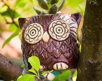 Cute Brown Owl Ceramic Planter Pots for Succulents, Cacti, Flowers and Small Indoor Plants