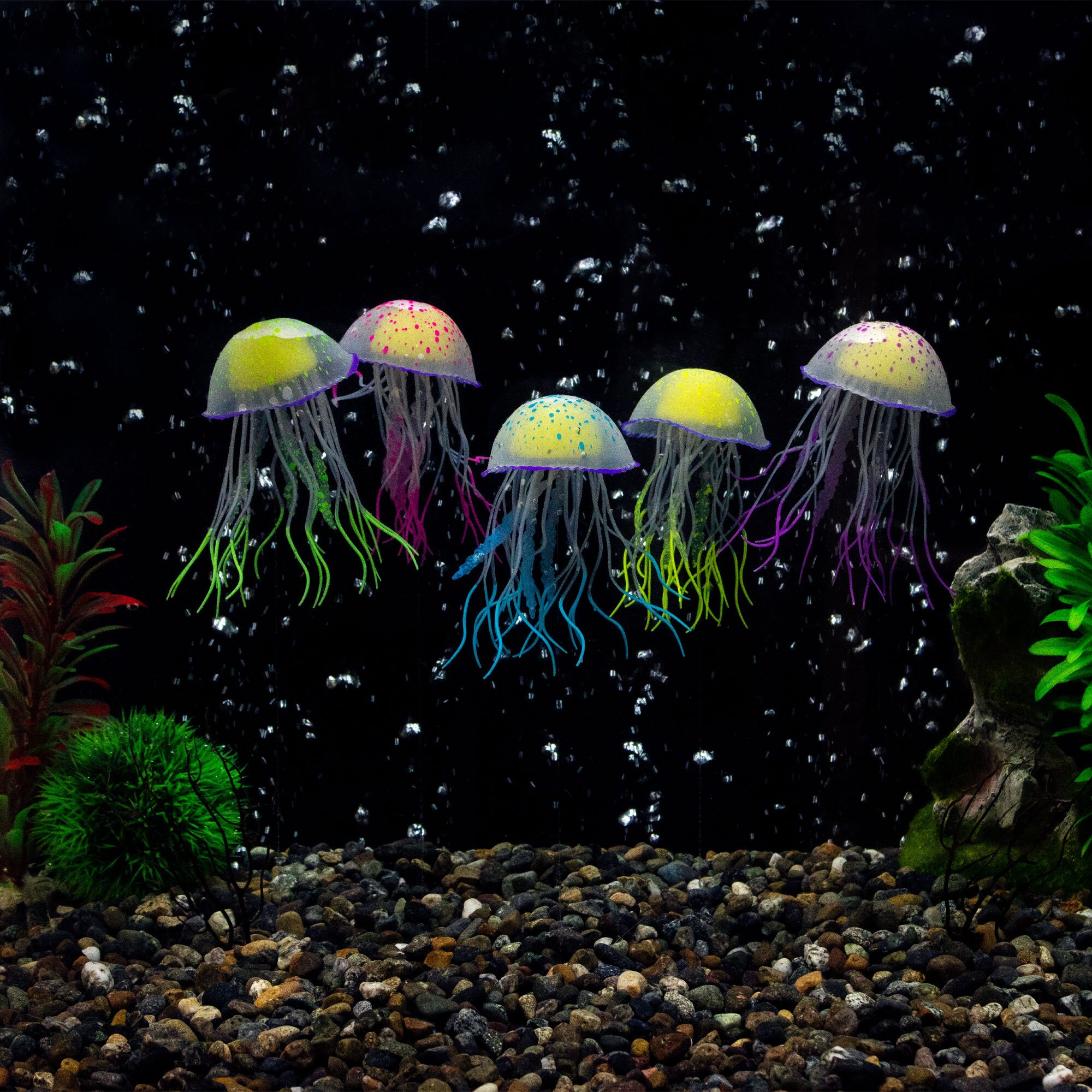 Jellyfish Aquarium