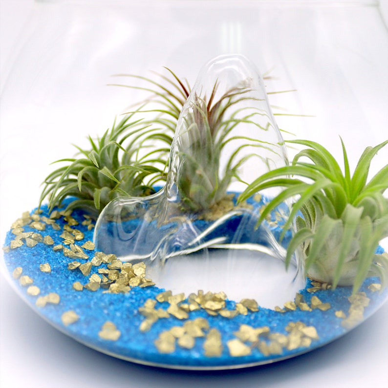 Small Glass Mountain Bowl Unique, Decorative Vase, Plant Holder for Tillandsia Air Plants, Faux Succulents, Cuttings and More Home Decor image 4