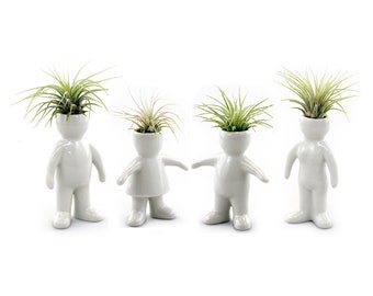 Family Air Head Live Plant Arrangement With Tillandsia Air Plants - Father, Mother, Daughter, and Son - Indoor Live Plants with Vases