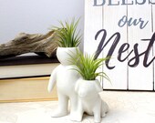 Ceramic People Planters for Air Plants Air Plant Vase Plants Not Included Table Top Display Planters for Air Plants, Other Mini Plants