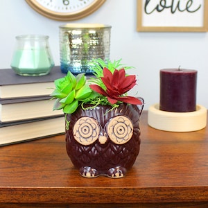 Brown Owl Succulent Pot with Faux Succulents, Artificial Succulent Arrangement Display, Faux Succulent Arrangement Décor, Office Decor