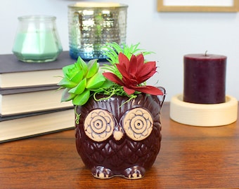 Brown Owl Succulent Pot with Faux Succulents, Artificial Succulent Arrangement Display, Faux Succulent Arrangement Décor, Office Decor