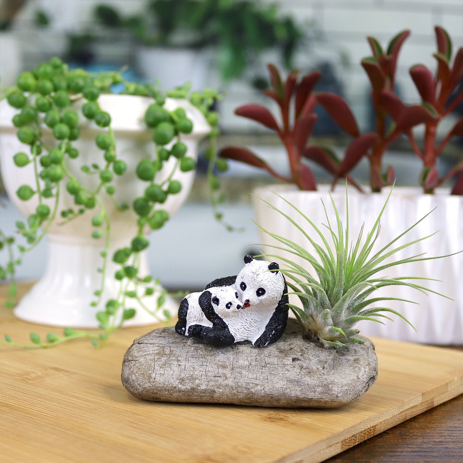 Mini Panda Driftwood Garden | Miniature Panda Figures With Live