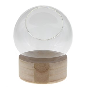 Wood Base Glass Dome Terrarium - Air Plant Holder