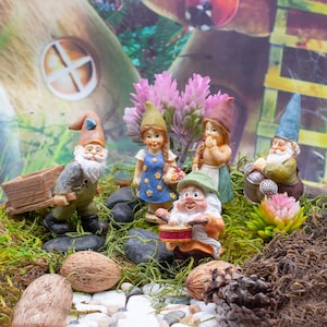 5 Pc. Miniature Gnome Kit | Little Kim World Fairy Garden | Tiny Fairy Sets | Miniatures for Yard, Flower Bed, Planter, Terrarium