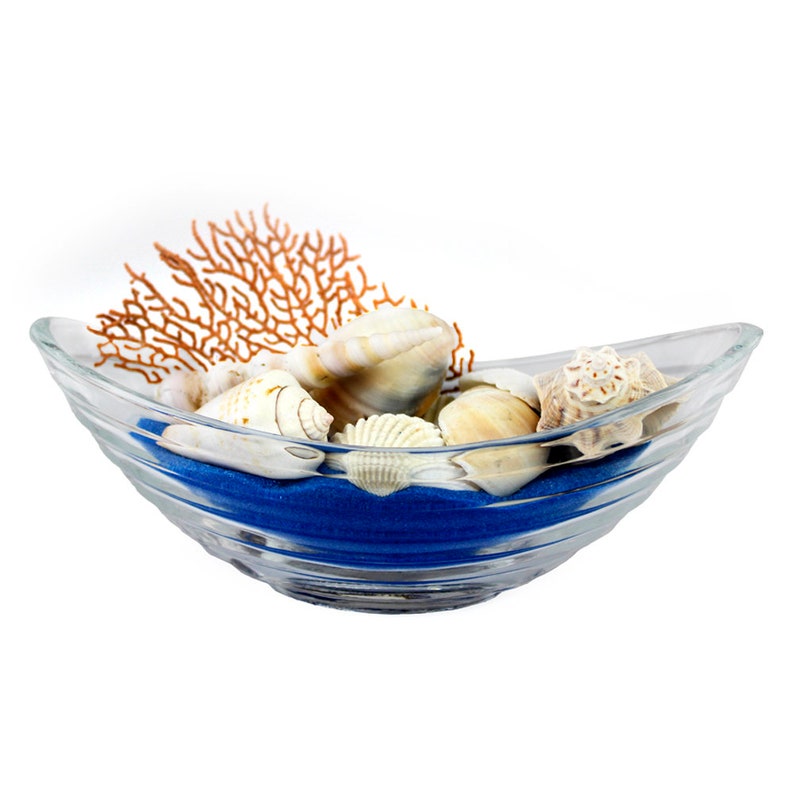 May include: A clear glass bowl with a blue sand base and a variety of seashells and a coral branch inside.