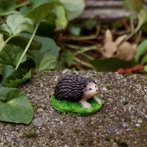Mini Hedgehog - Fairy Garden Supply, Miniature Animal