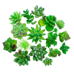 16 pc Set of Assorted Faux Succulent Plants  | Artificial Plants | Faux Flocked Plastic Indoor Foliage with Stems | Real Looking Plants