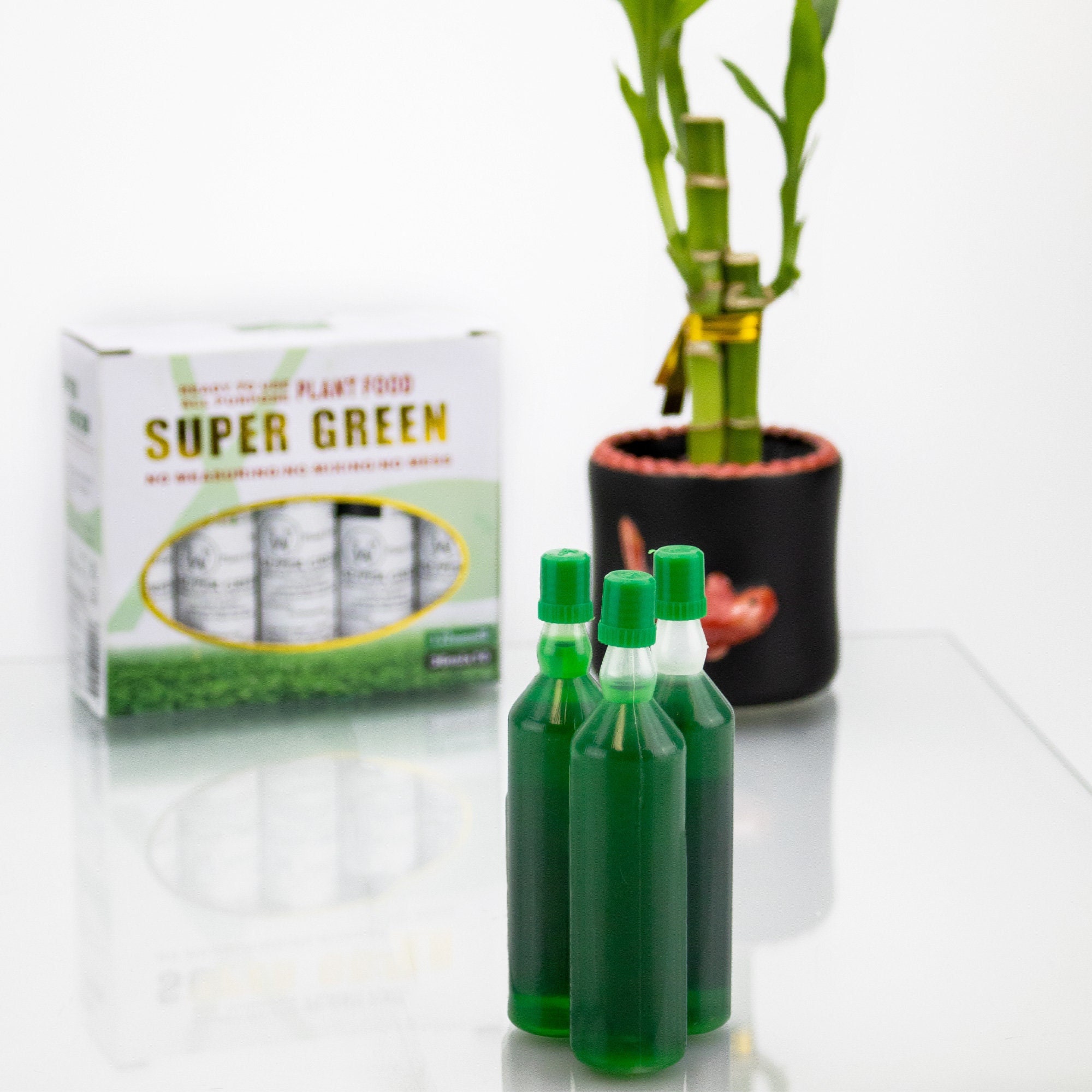 Super Green Fertilizer - Live Lucky Bamboo Plant Food - Lucky Bamboo  Superfood - Water Plant Fertilizer - Fertilizer for Healthier Plants - Etsy