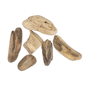 Natural Pacific Coast Driftwood Pieces, 2-4&quot; collected by hand, Beach Driftwood, Small Wood for Terrariums, Hand-Picked Natural Driftwood