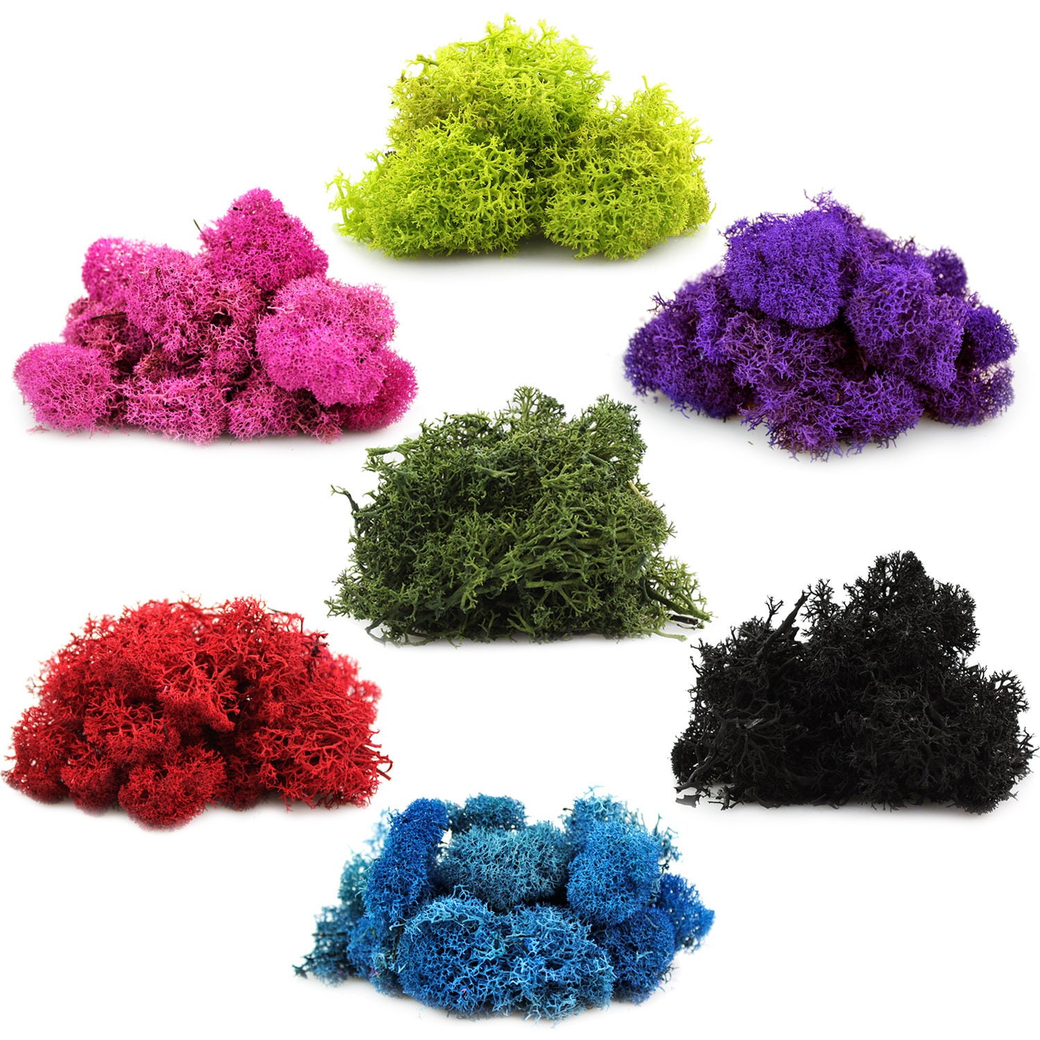  Preserved Moss Reindeer Moss Natural Dried Multicolored Floral  Moss Bulk Moss for Crafts DIY Arts Wall Home Office Terrariums Wedding  Centerpieces Decoration (Vivid Colors,4.63 lb) : Arts, Crafts & Sewing
