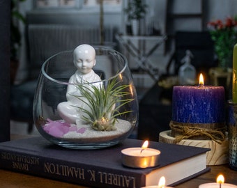 ZEN Buddha Garden Display with Air Plant Arrangement - Garden Display -Air Plant Terrarium - Meditation Garden