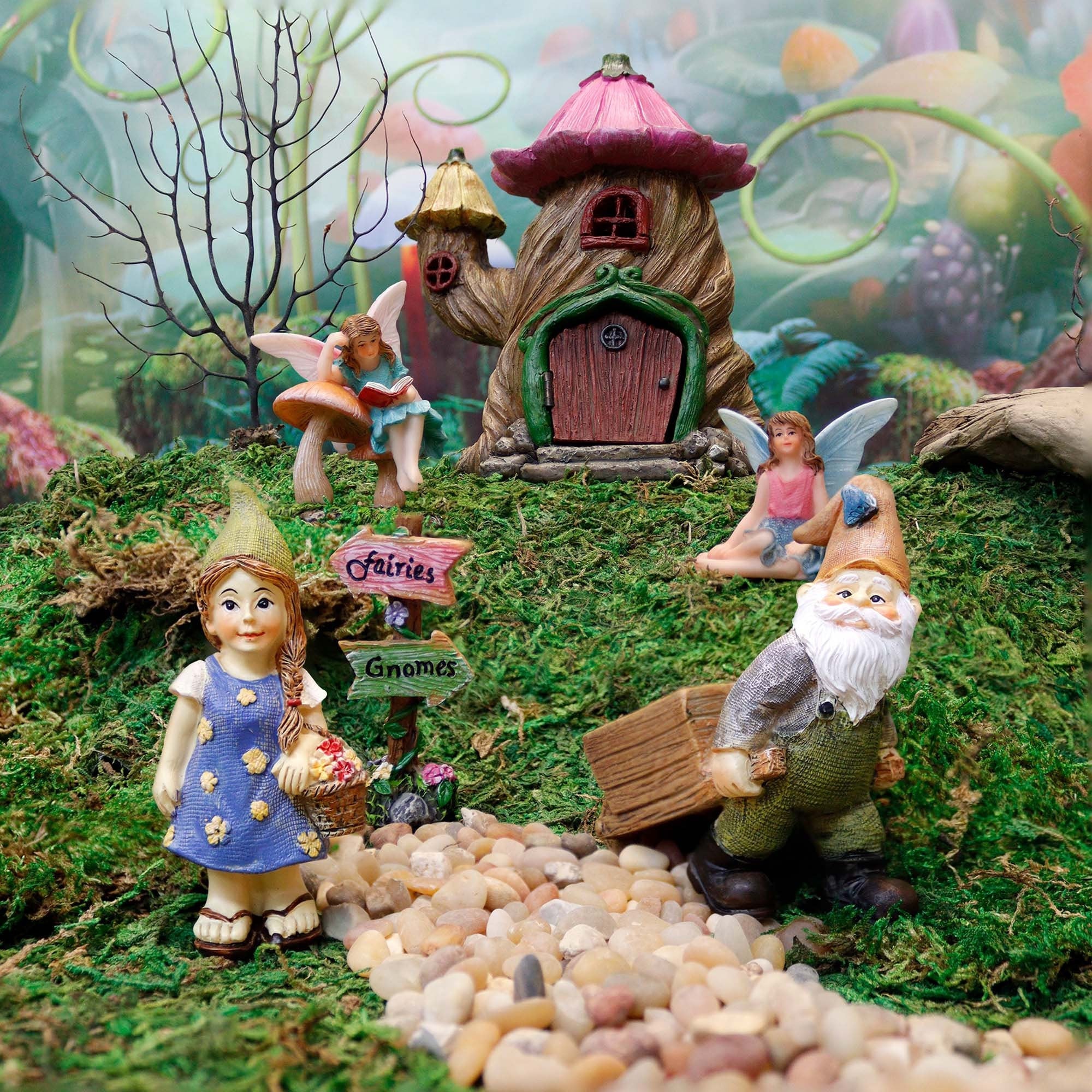 Fairies & Gnomes
