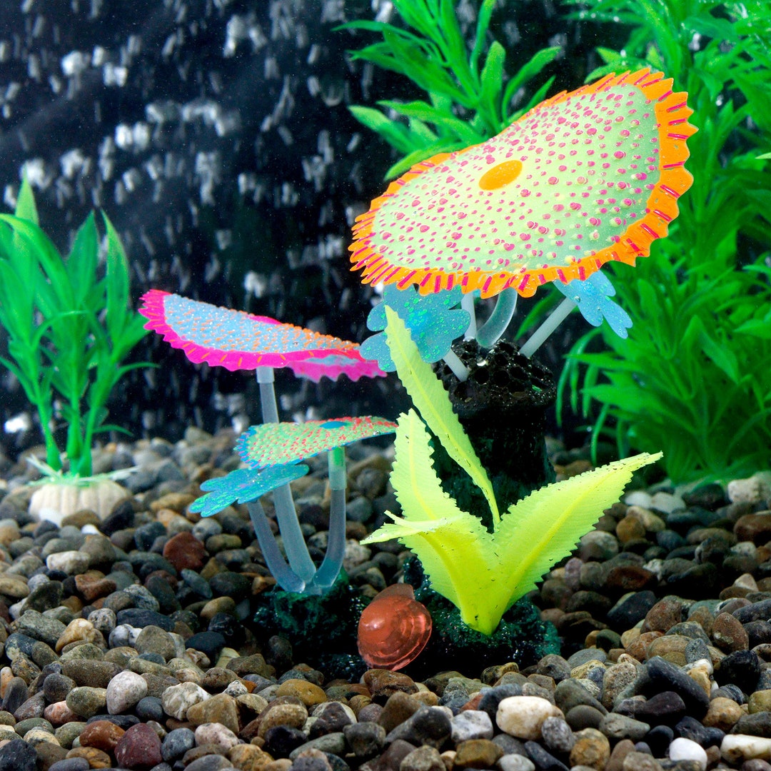 difference between fish hooks and string of bananas Bundle of String of Fishhooks Succulent Cuttings – OMG Asheville Pound Test:60lb new arrivals Berkley Lightning Rod Casting