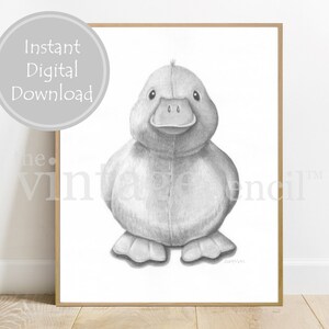 Duck Print, Nursery Prints, Farm Animal Wall Art, Farm Nursery, Baby Animal Print, Baby Duck, Nursery Decor, Printable Duck, Duckling Art