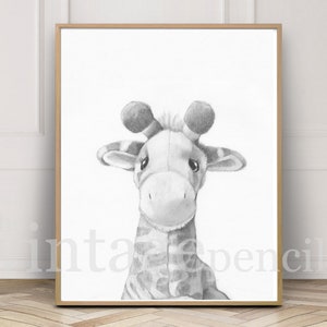 May include: A black and white pencil drawing of a giraffe's head and neck. The giraffe is looking to the right of the image.