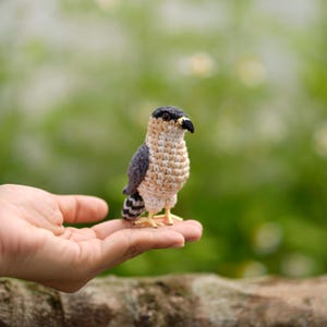 May include: A small crocheted bird figurine featuring a dark gray head and wings, a cream-colored chest with brown horizontal stitching, a black beak, and yellow feet. The bird has a striped tail and dark eyes, crafted with detailed yarn work.