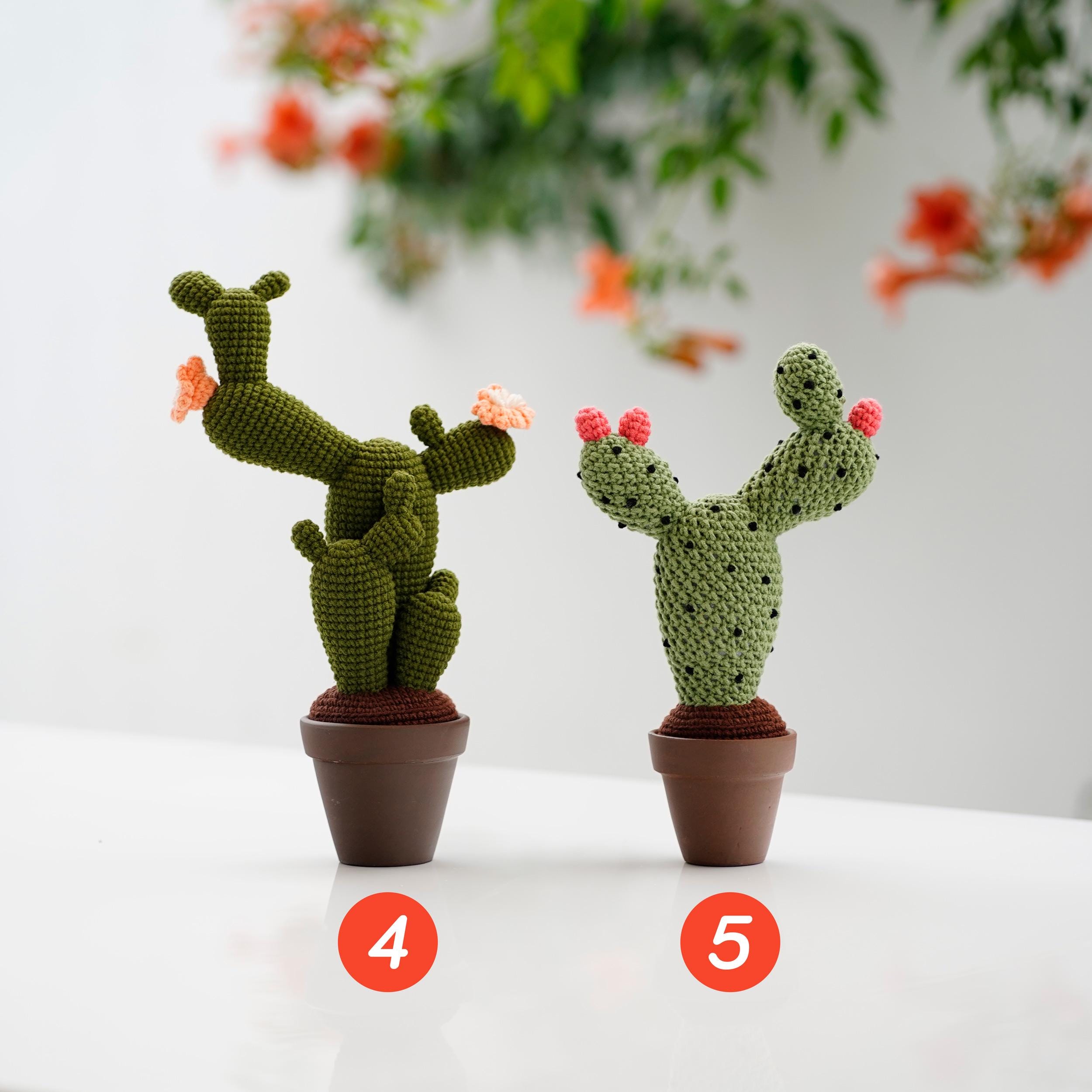 ハンドメイド　あみぐるみ　サボテンの鉢植え あみぐるみ 鉢植えサボテン その他インテリア雑貨 natsu.ami