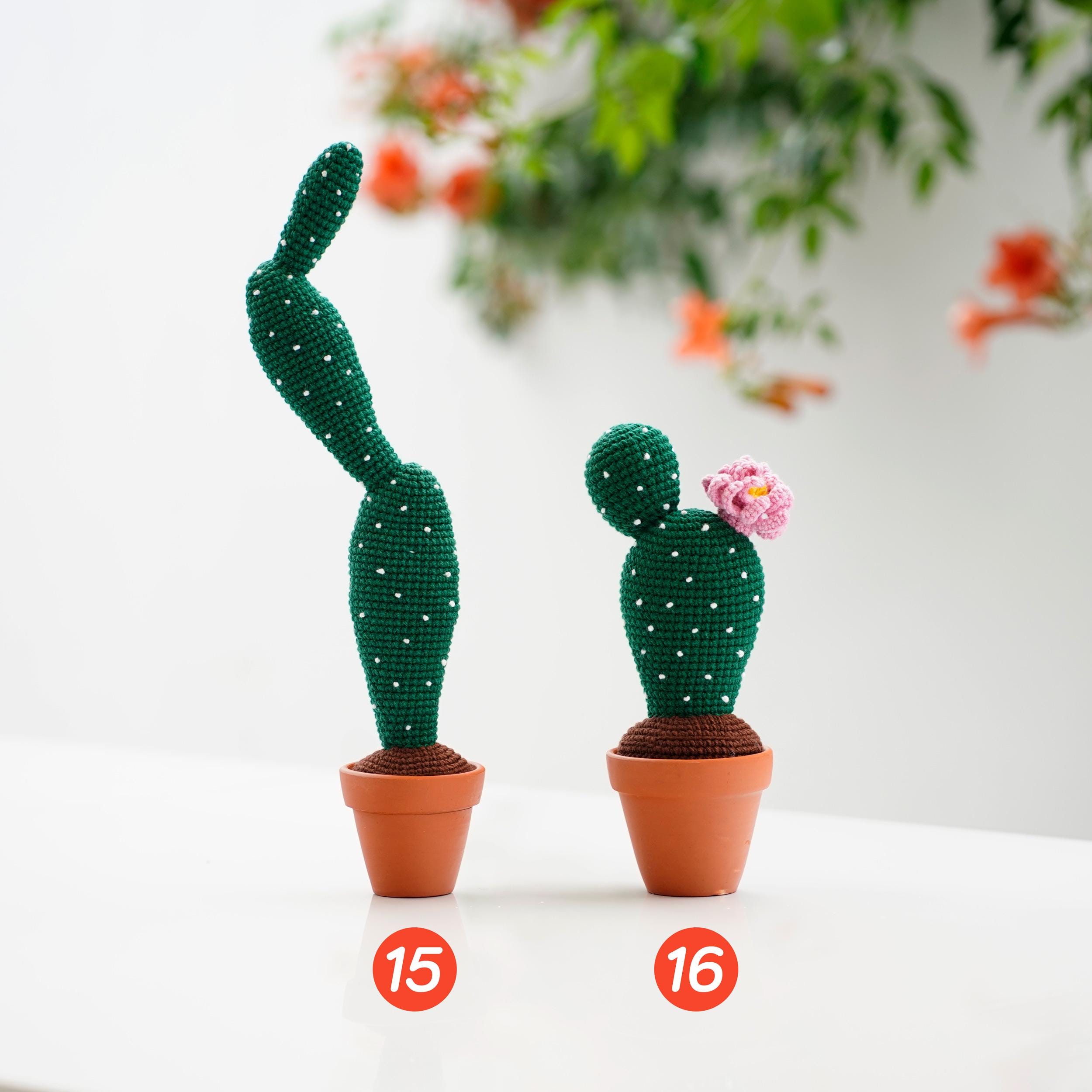 ハンドメイド　あみぐるみ　サボテンの鉢植え あみぐるみ】多肉・サボテン3鉢セット①