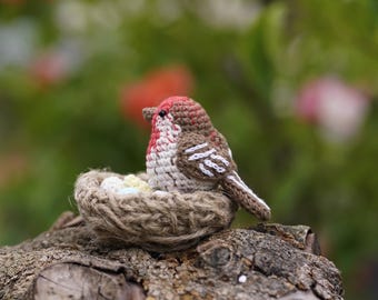 Crochet House Finch Bird – Amigurumi Bird Figurine – Mini Bird Plush – Nature Inspired Gift – House Decor – Pocket Sized Animal