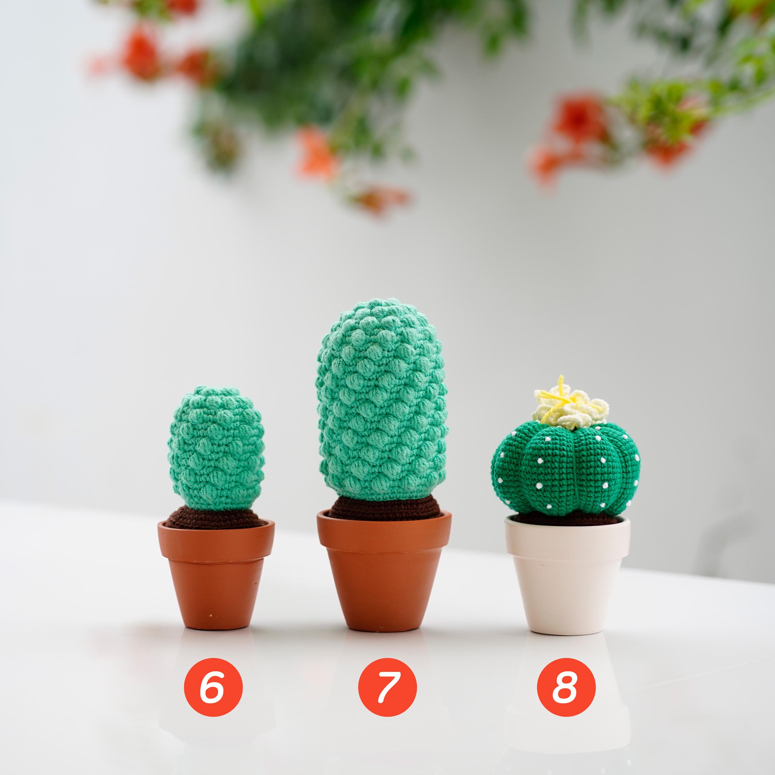 かぎ針編みのサボテンあみぐるみ：手作りの鉢植えぬいぐるみ - Etsy 日本