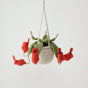 Peut inclure: Une plante suspendue en crochet composée d'un pot gris clair, de feuilles vertes et de plusieurs fleurs orange vif en forme de pichet. La plante est suspendue par un cordon blanc tressé, mettant en valeur des textures de fil complexes.