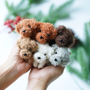 May include: A collection of six small, crocheted dog toys in various shades of brown, white, and grey. The toys are arranged in a circle and held in a person's hands.