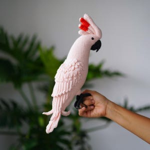 以下が含まれることがあります： 黒い嘴と足、赤い冠を持つ、手作りの薄いピンク色の鉤針編みのオウム。鳥の翼と尾羽は、テクスチャード加工されたかぎ針編みのステッチで詳細に表現されています。オウムは装飾品です。