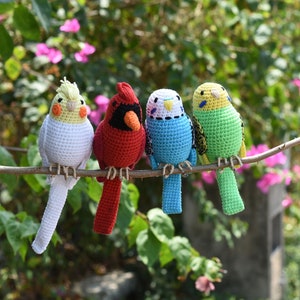 Amigurumi Budgie , Parakeet, Cockatiel Parrot, Cardinal Red Bird, Quaker Parrot Crochet Handmade Decorative Toy ,New Year bird lovers image 1
