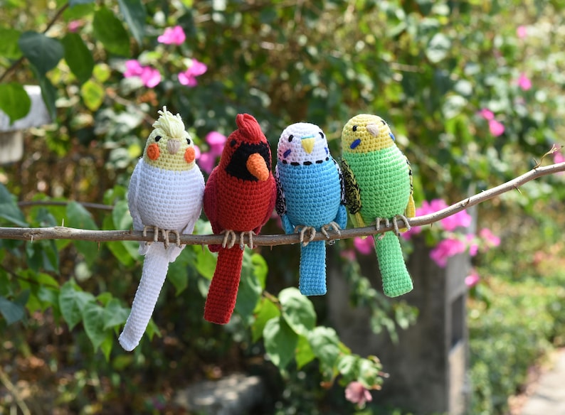 Amigurumi Budgie , Parakeet, Cockatiel Parrot, Cardinal Red Bird, Quaker Parrot Crochet Handmade Decorative Toy ,New Year bird lovers image 1
