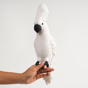 以下が含まれることがあります： 黒い嘴と足を持つ白いかぎ針編みのオウム。鳥は大きく、質感のある冠羽があり、手に止まっています。かぎ針編みの鳥は手作りのアイテムです。