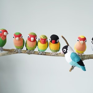 Può includere: Un gruppo di otto pappagalli crochet appollaiati su un ramo. Gli uccelli sono di vari colori, tra cui verde, rosso, giallo, blu e nero.