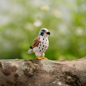 May include: A small crocheted bird figurine featuring a grey head, a brown and black patterned wing, and a cream-colored chest with black speckles. The bird has a black beak, dark eyes, and small yellow feet, standing upright on a textured surface.