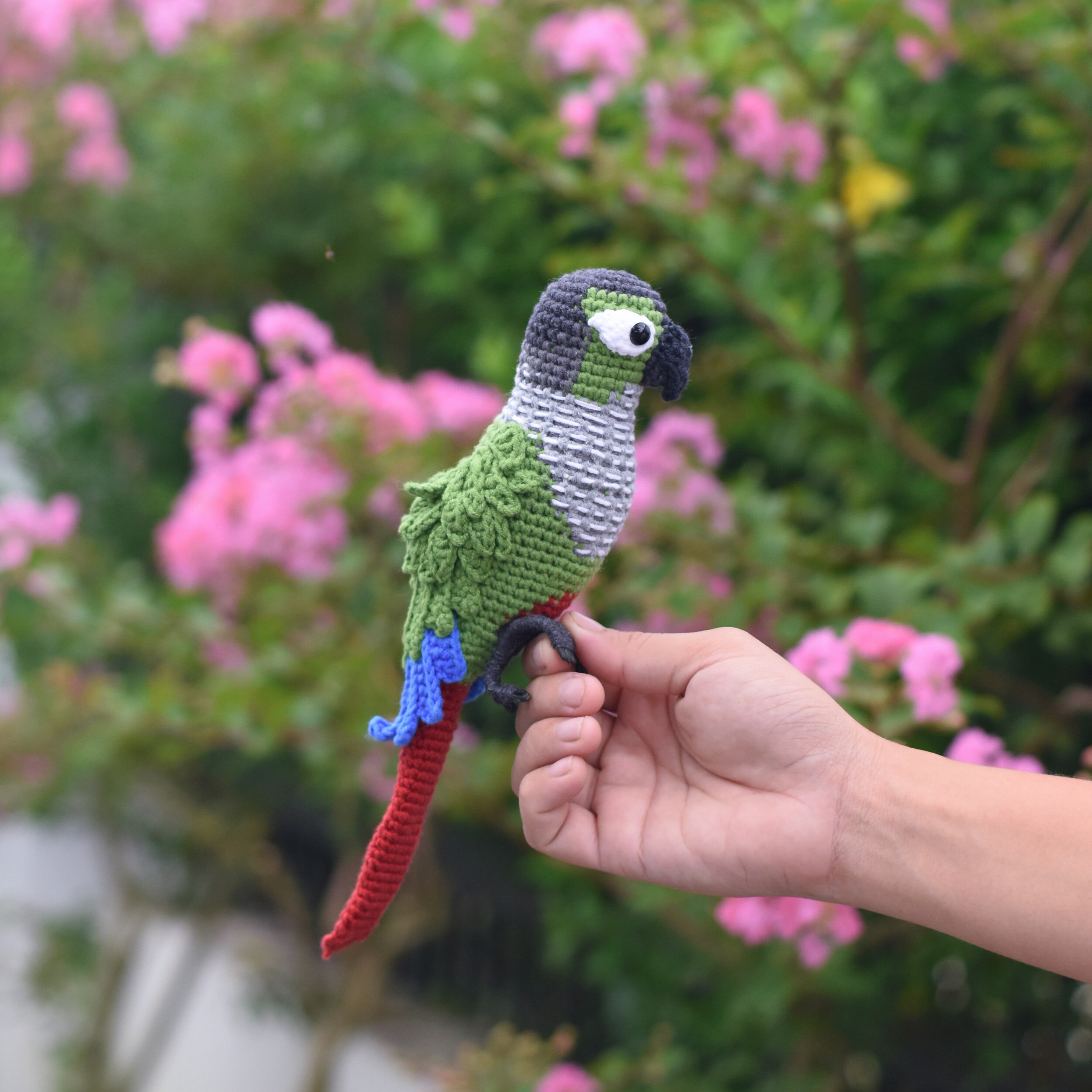 Best toys for green cheek conure online