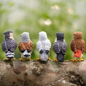 May include: Five small, handcrafted crochet birds standing in a row. The birds feature varied yarn colors including dark gray, brown, light gray, and white, each with detailed stitching, small yellow feet, and distinct tail patterns.