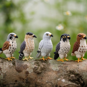 May include: Five small, handcrafted crochet birds standing in a row. Each bird features distinct yarn colors including shades of brown, gray, white, and black, with small dark eyes, pointed beaks, and yellow feet, showcasing intricate stitch patterns.