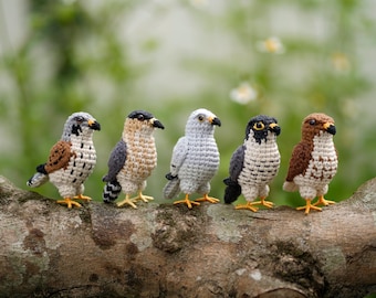 Crochet Red-Tailed Hawk - Cooper’s Hawk – Kestrel - Peregrine Falcon- Amigurumi Hawk Birds– Miniature Bird Plush– Falconry Lover Gift
