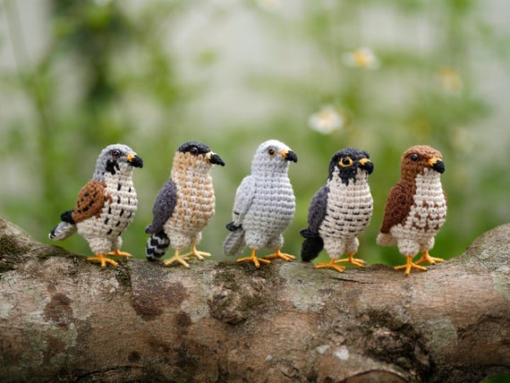 Crochet Red-Tailed Hawk - Cooper’s Hawk – Kestrel - Peregrine Falcon- Amigurumi Hawk Birds– Miniature Bird Plush– Falconry Lover Gift