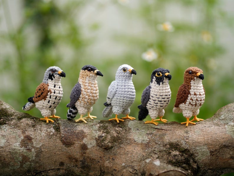 May include: Five small, handcrafted crochet birds standing in a row. Each bird features distinct yarn colors including shades of brown, gray, white, and black, with small dark eyes, pointed beaks, and yellow feet, showcasing intricate stitch patterns.