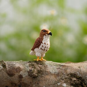 May include: A small crocheted bird figurine featuring brown and white yarn, a black beak, and yellow feet. The bird is crafted with detailed stitching to mimic the appearance of a hawk, with a textured plumage pattern on its wings and chest.