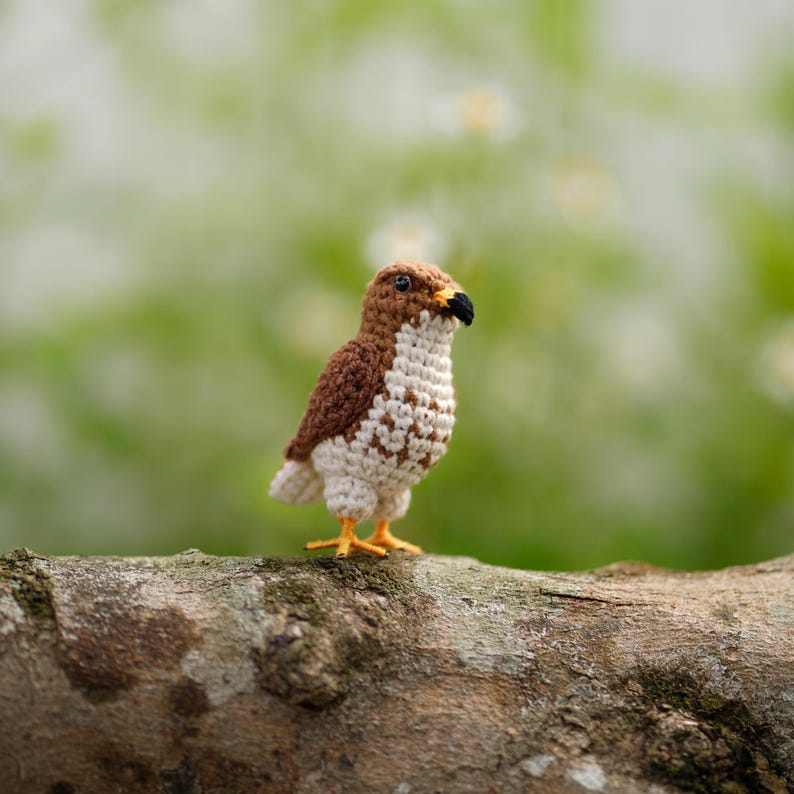 May include: A small crocheted bird figurine featuring brown and white yarn, a black beak, and yellow feet. The bird is crafted with detailed stitching to mimic the appearance of a hawk, with a textured plumage pattern on its wings and chest.