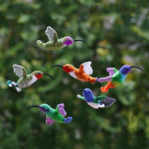 Puede incluir: Seis adornos de colibríes tejidos a ganchillo en varios colores. Los pájaros tienen largos picos negros y alas detalladas. Los colores incluyen verde, naranja, azul, morado y blanco. El fondo es un verde borroso.