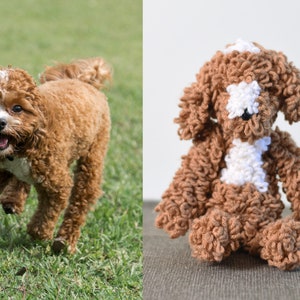 Custom Dog, Custom Puppy Amigurumi Stuffed Crochet Toy - Special Gift For Your Friend