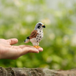 May include: A small, handcrafted crochet falcon figurine featuring a grey head, brown wings with black detailing, and a cream-colored chest with black spots. The bird has a black beak, dark eyes, and bright orange feet, standing in a realistic pose.