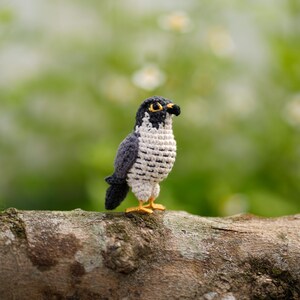 May include: A small, handcrafted crochet falcon figurine featuring dark gray wings, a white chest with black horizontal stitching, a black head with a yellow eye, and a small black beak. The bird stands on two bright yellow yarn feet.